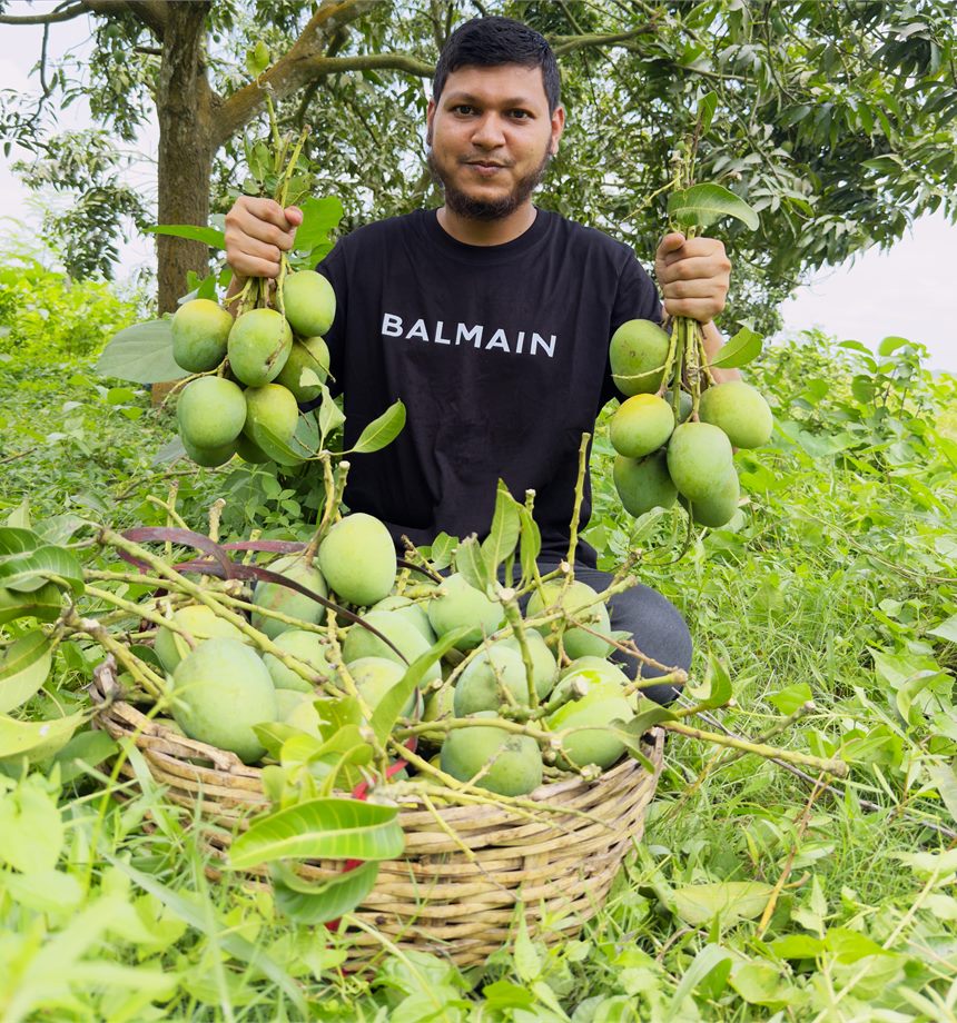 বাগানে হাতে গুচ্ছ আম নিয়ে থাকা ছবি