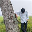 Ariful Islam